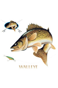 Transfer Walleye Combination W/crest 