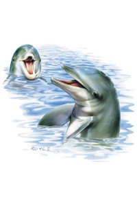 Transfer Talking Dolphins 