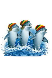 Transfer Reggae Dolphins 