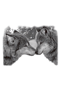Transfer Muzzle Nuzzle 