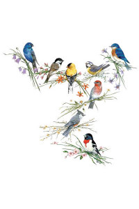 Transfer Birds Of A Feather 