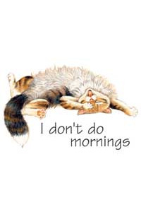 Transfer I Don't Do Mornings 