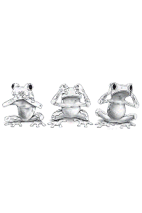Transfer No Evil Frogs 
