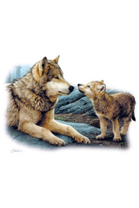 Transfer Brother Wolf 