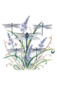 Transfer Dragonfly Lace 