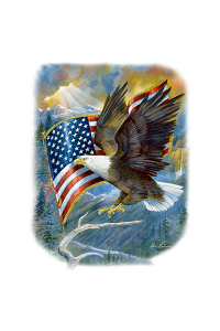 Transfer American Pride 
