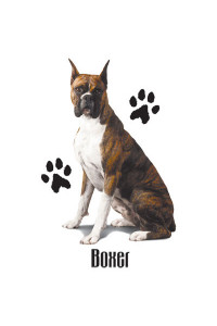 Transfer Brindle Boxer 