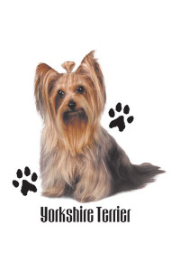 Transfer Yorkshire Terrier 