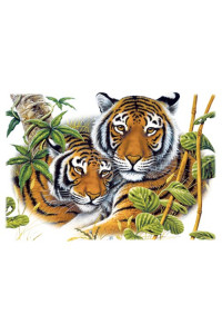 Transfer Two Tigers 