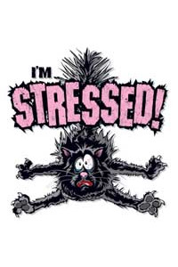 Transfer I'm Stressed 