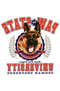 Transfer German Shepherd 