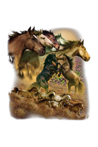 Transfer Wild Horses 
