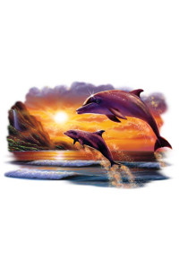 Transfer Tropic Sun Dolphins 