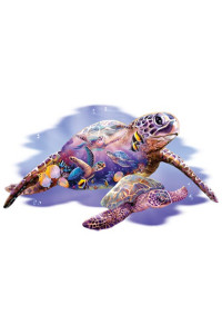 Transfer Turtle Kingdom 