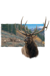 Transfer American Elk 