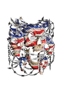 Transfer Patriotic Skulls 