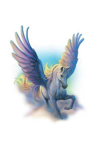 Transfer Pegasus 