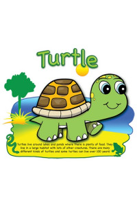 Transfer Turtle 