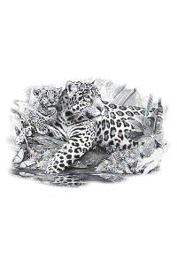 Transfer Jaguar Mom & Cub 