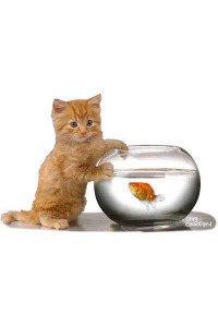 Transfer Ginger Kitten Fishbowl 