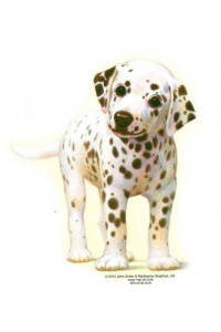 Transfer Dalmatian 