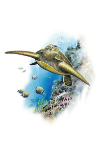 Transfer Sea Turtle 