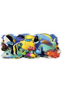 Transfer Tropical Fish 