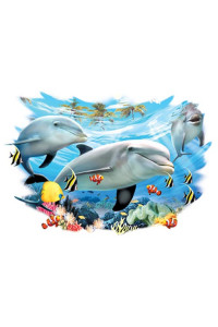 Transfer Dolphin Friends 