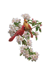 Transfer Spring Romance 