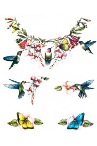 Transfer Hummingbird Cut Up 