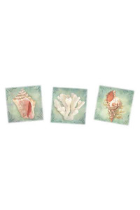 Transfer Seashell Triptych 