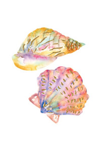 Transfer Shells 