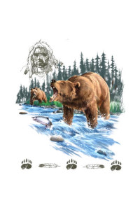 Transfer Bear Warrior 