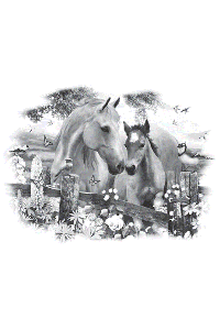Transfer Hollyhock Horses 