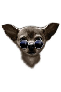 Transfer Cool Chihuahua (darks Only) 