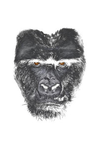 Transfer Majestic Gorilla (darks Only) 