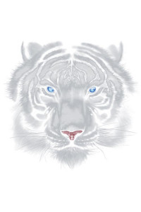 Transfer Majestic White Tiger (darks Only) 