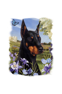 Transfer Doberman 