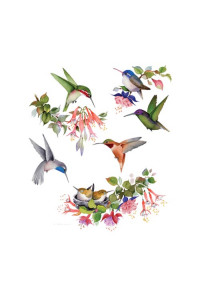 Transfer Hummingbirds Of North America 