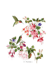 Transfer Hummingbird Fuchsias 