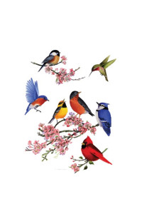 Transfer Songbirds Of America 