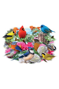 Transfer Birds For All Seasons 