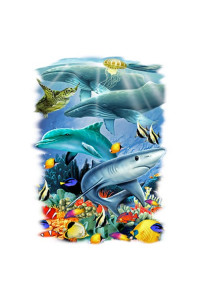 Transfer Oceanview 