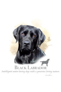 Transfer Black Labrador - Hr 