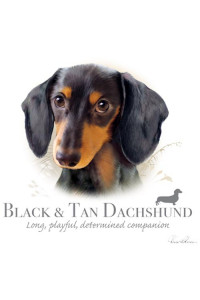 Transfer Black & Tan Dachshund - Hr 
