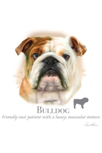 Transfer Bulldog - Hr 