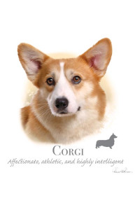 Transfer Corgi - Hr 