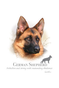 Transfer German Shepherd - Hr 