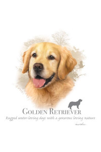 Transfer Golden Retriever - Hr 