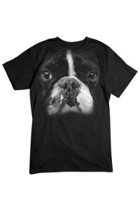Transfer Big Boston Terrier Face 
